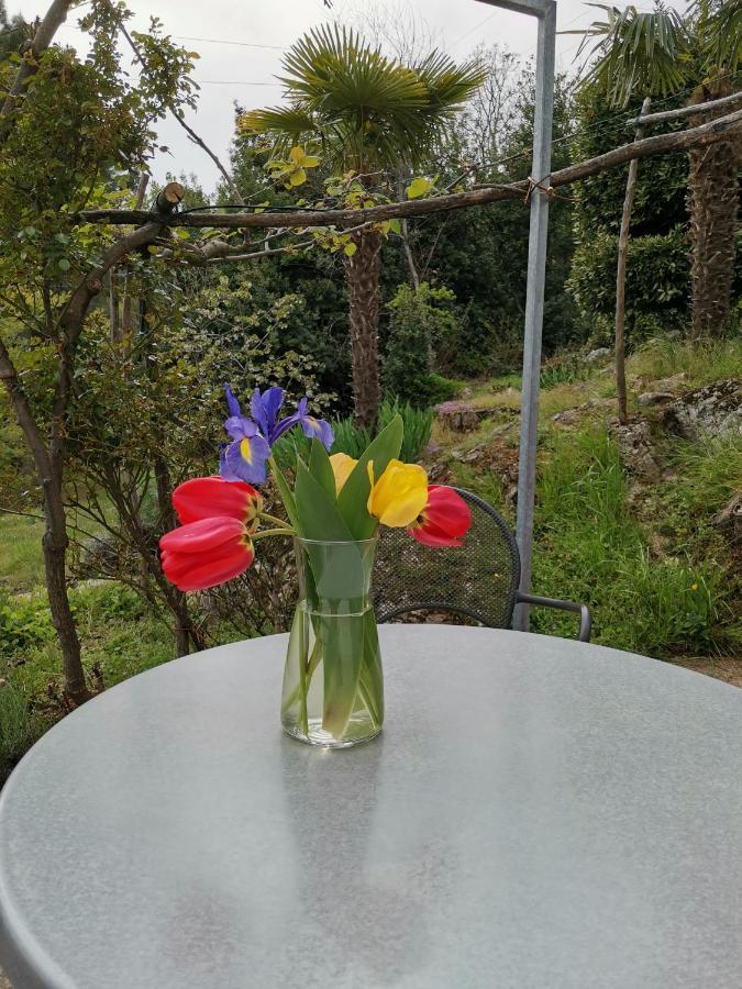 Apartman Marijeta Mošćenička Draga 외부 사진